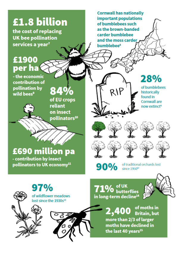 £1.8 billion cost of replacing bee pollination 28% Cornish bumblebees now extinct